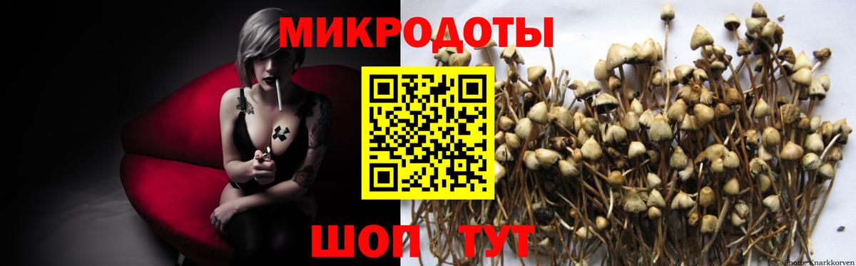 Галлюциногенные грибы мицелий Армавир