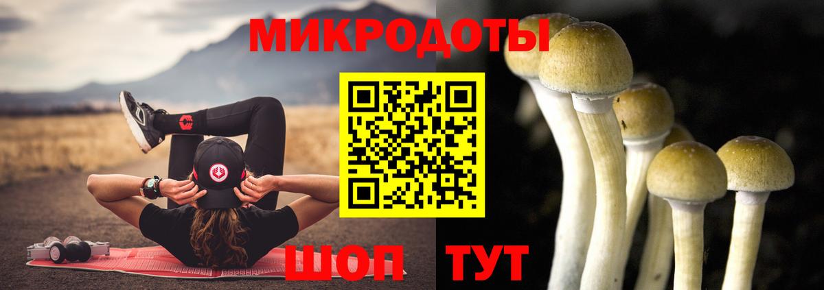 Армавир  Галлюциногенные грибы MAGIC MUSHROOMS  Вход с VPN 